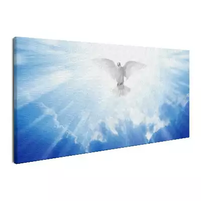 Obraz na płótnie Ducha Święty biała gołębica