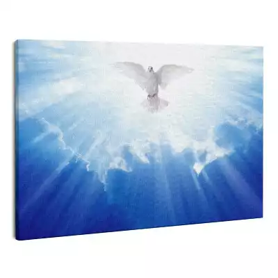 Zdjęcie na płótnie Ducha Święty biała gołębica