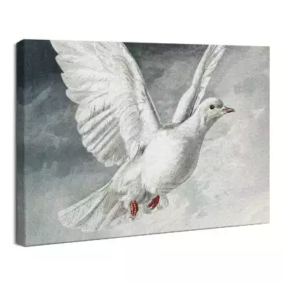 Obraz drukowany na płótnie Biały gołąb Duch Święty