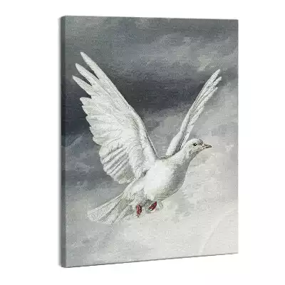 Zdjęcie na płótnie Biały gołąb Duch Święty