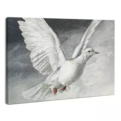 Obraz na płótnie abstrakcja Biały gołąb Duch Święty