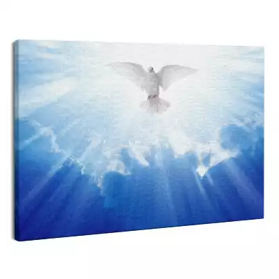 Zdjęcie na płótnie Ducha Święty biała gołębica